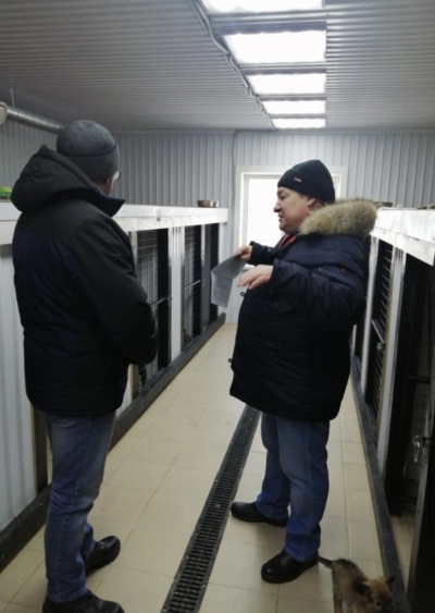 Содержание животных в приюте «Пять звезд» г. Усолье-Сибирское проверили городские власти, общественность и волонтеры