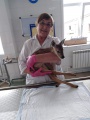Тулунские ветеринары помогли спасти детеныша косули