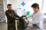 Служба ветеринарии Иркутской области заключила соглашение о взаимодействии с региональным управлением ГУ МВД России
